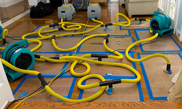 Professional Crawl Space Water Removal technician working in Frazee, MN